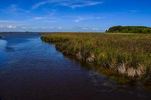 Currituck Banks Reserve