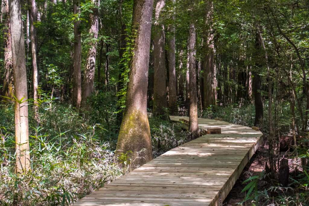 Boardwalk Loop Trail