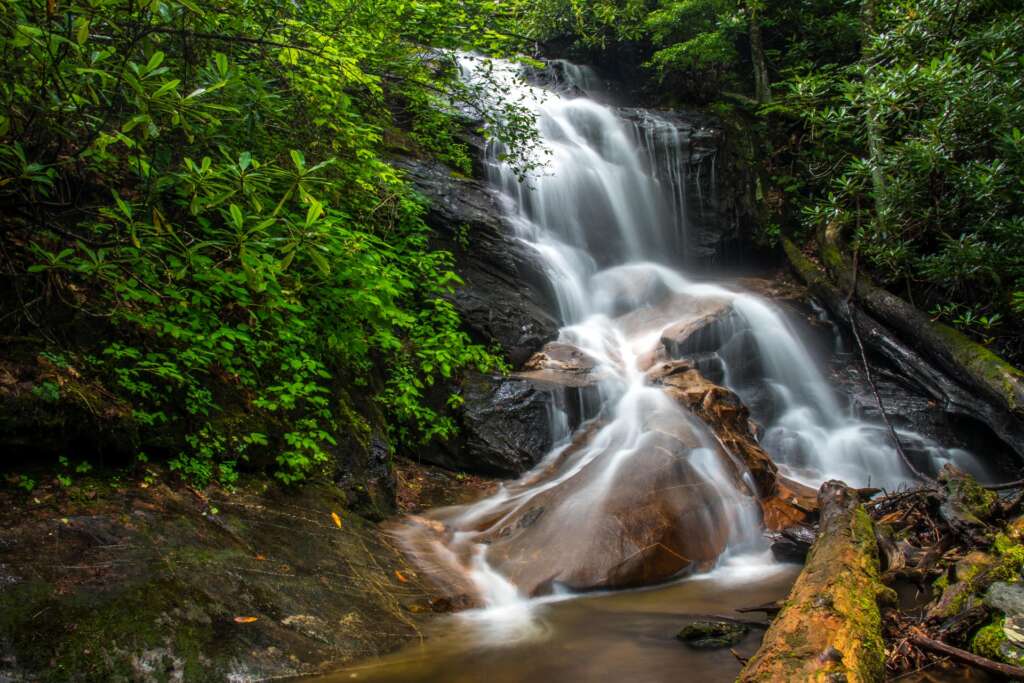 Log Hollow Falls