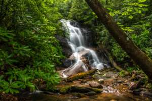 Log Hollow Falls