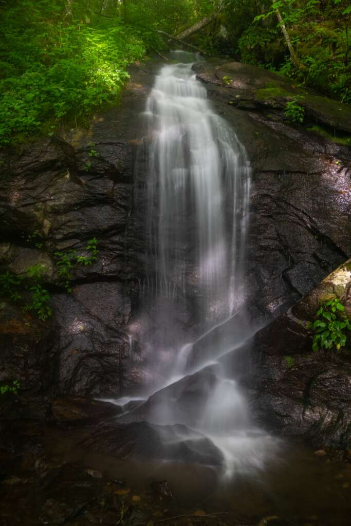 Roadside Waterfall Near Douglass Falls