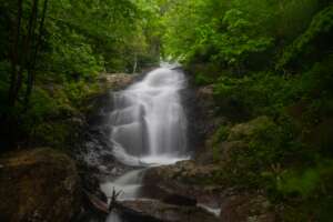 Roadside Cascade near Douglass Falls