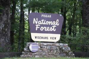 Pisgah National Forest