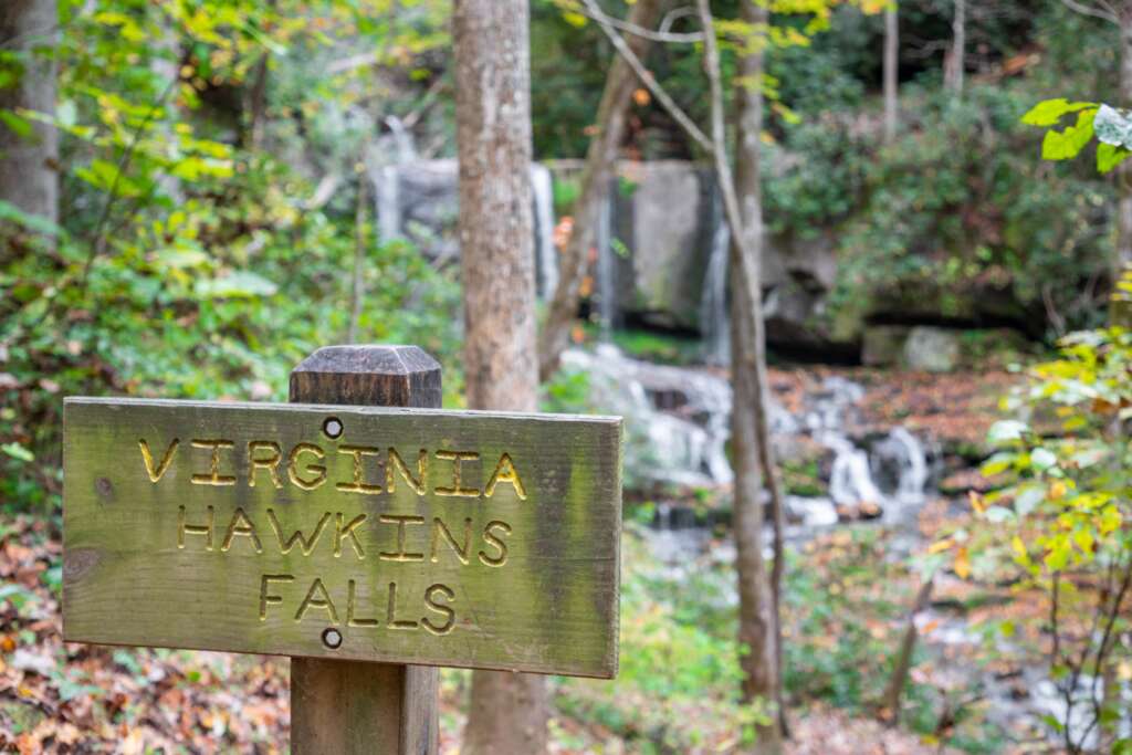 Virginia Hawkins Falls