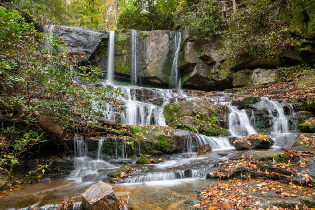 Virginia Hawkins Falls