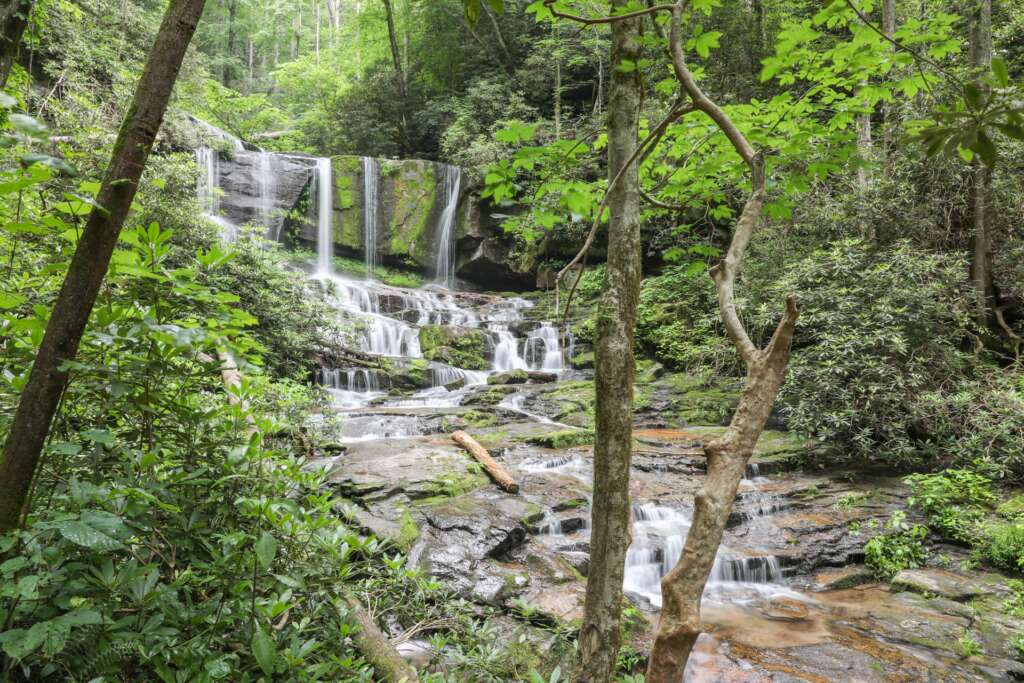 Virginia Hawkins Falls