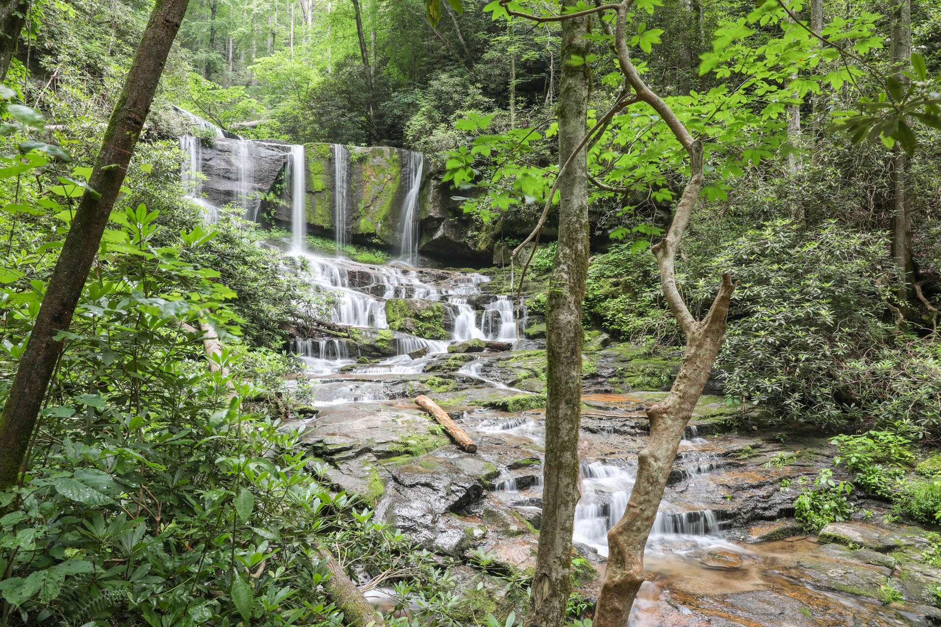 Virginia Hawkins Falls HD Carolina
