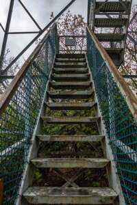 Albert Mountain Fire Tower Stairs