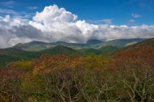 Albert Mountain Fire Tower View