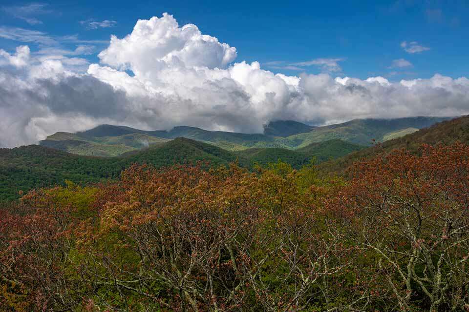 Albert Mountain Fire Tower View