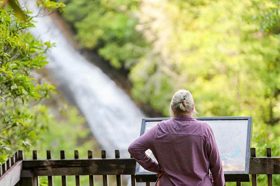 Upper Bearwallow Falls View