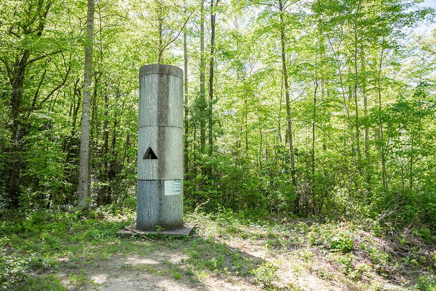 Bat Home at Beech Bottom Falls