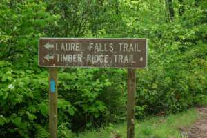 Big Laurel Falls Trail Sign