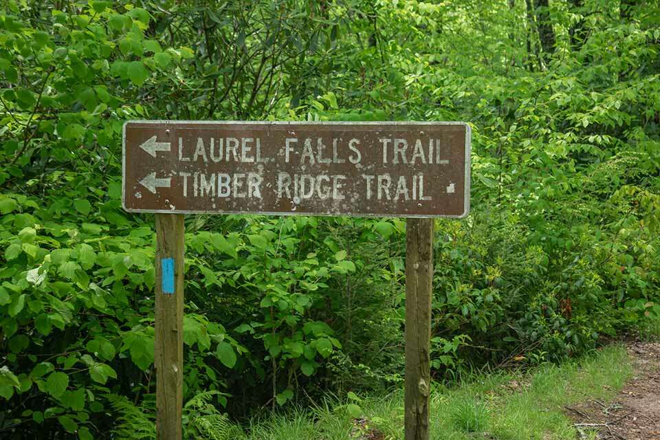 Big Laurel Falls Trail Sign