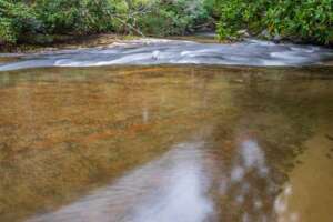 Cascade Below East Fork Falls