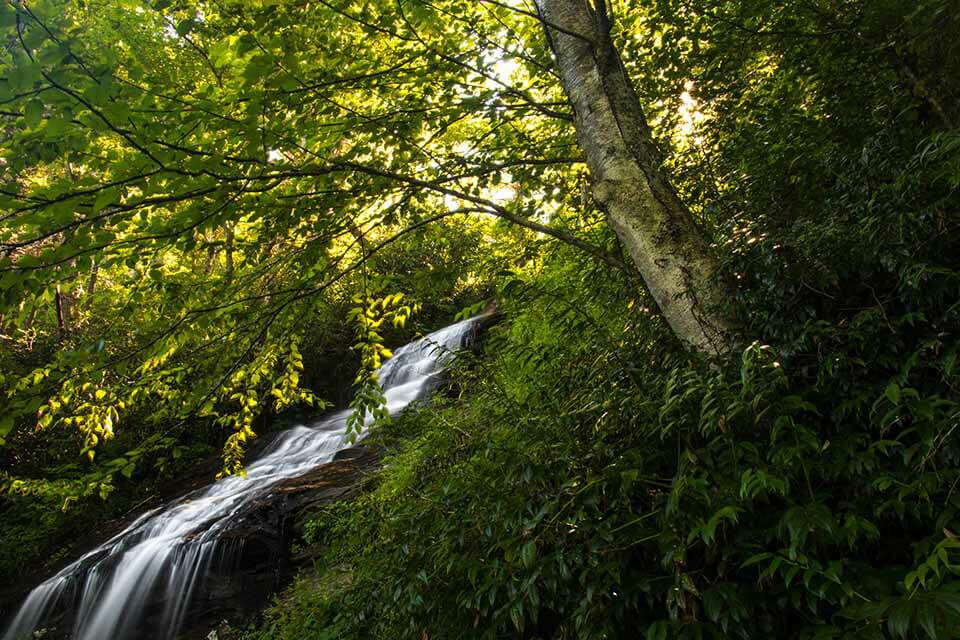 Cascade Falls Lower Overlook