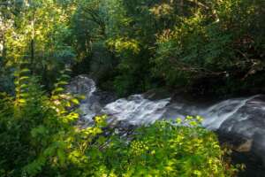 Cascade Falls Upper Overlook