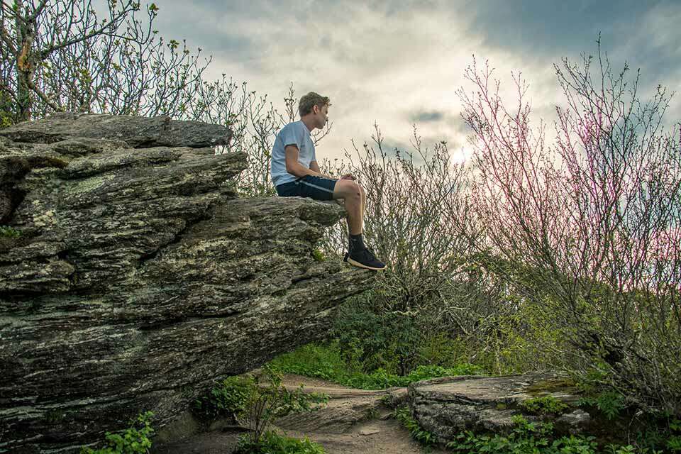 Craggy Gardens