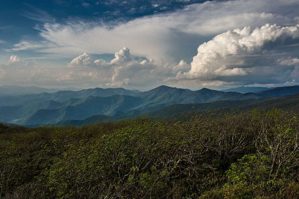 Craggy Pinnacle View