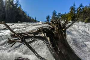 DuPont Bridal Veil Falls