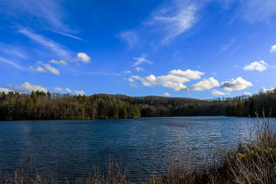 DuPont Lake Julia