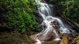 Log Hollow Falls