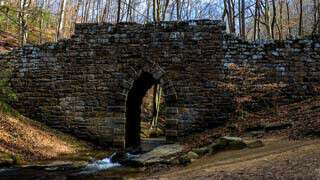 Poinsett Bridge