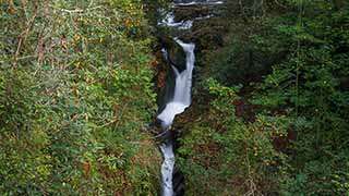 The Narrows