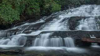 Licklog and Pigpen Falls