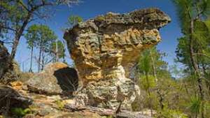 Peachtree Rock Heritage Preserve