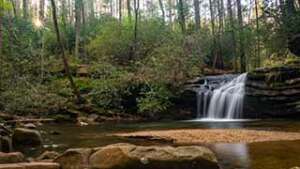 Carrick Creek Loop Trail