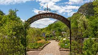 Lake Lure Flowing Bridge