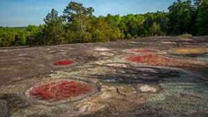 Forty Acre Rock Heritage Preserve