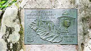 Joyce Kilmer Memorial Forest