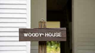 The Woody House