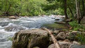 Green River Cove Trail