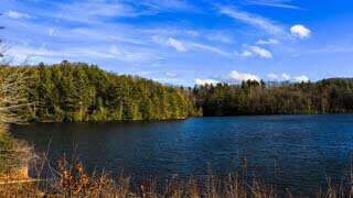 DuPont State Forest