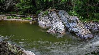 Laurel River Trail