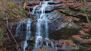 Melrose Falls