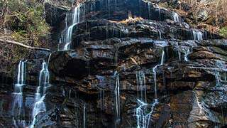 Yellow Branch Falls