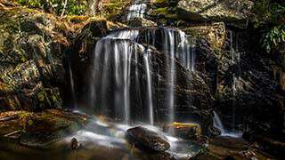 Waterfalls Park