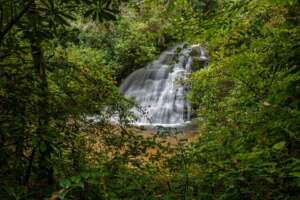 Graveley-Falls-from-Trail