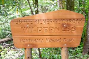 Joyce Kilmer Slickrock Wilderness