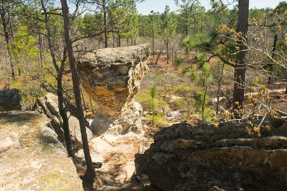 Little Peachtree Rock