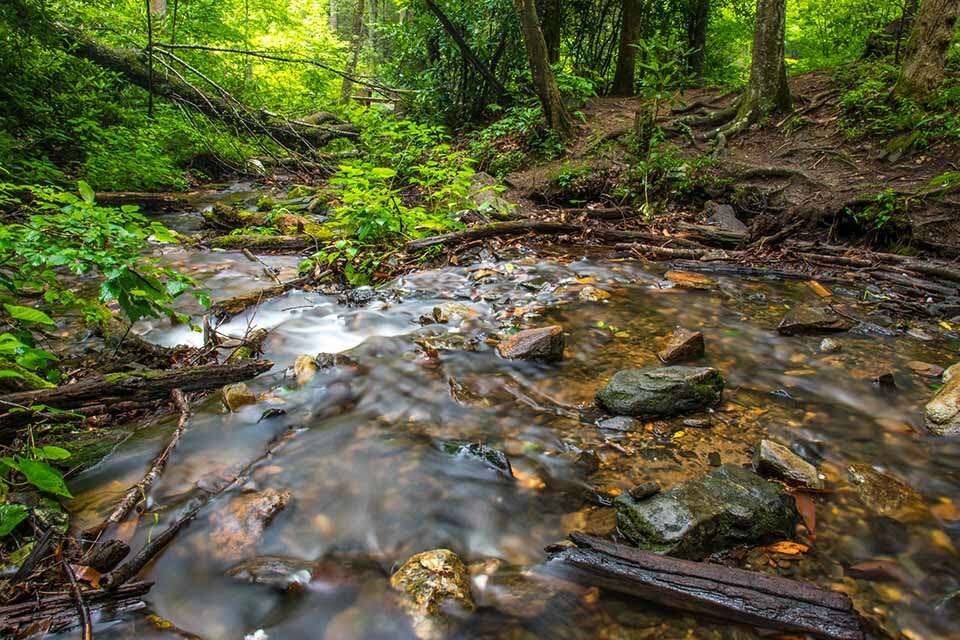 Log Hollow Falls