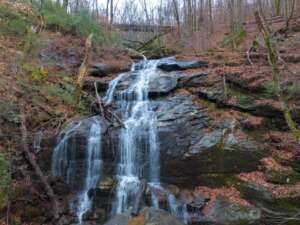 Melrose Falls