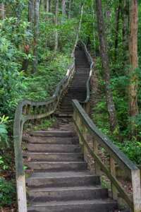 Mingo Falls Stairs