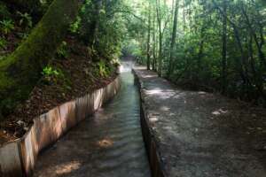 Mingus Mill Sluice