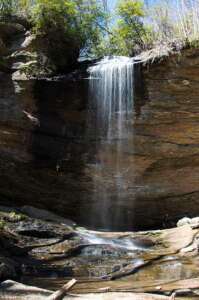 Moore Cove Falls