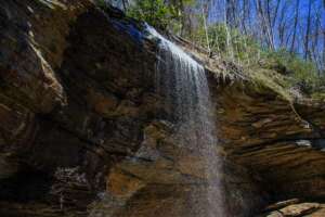 Moore Cove Falls